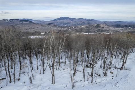 Lot 17 Garnet Way Newry ME 04261