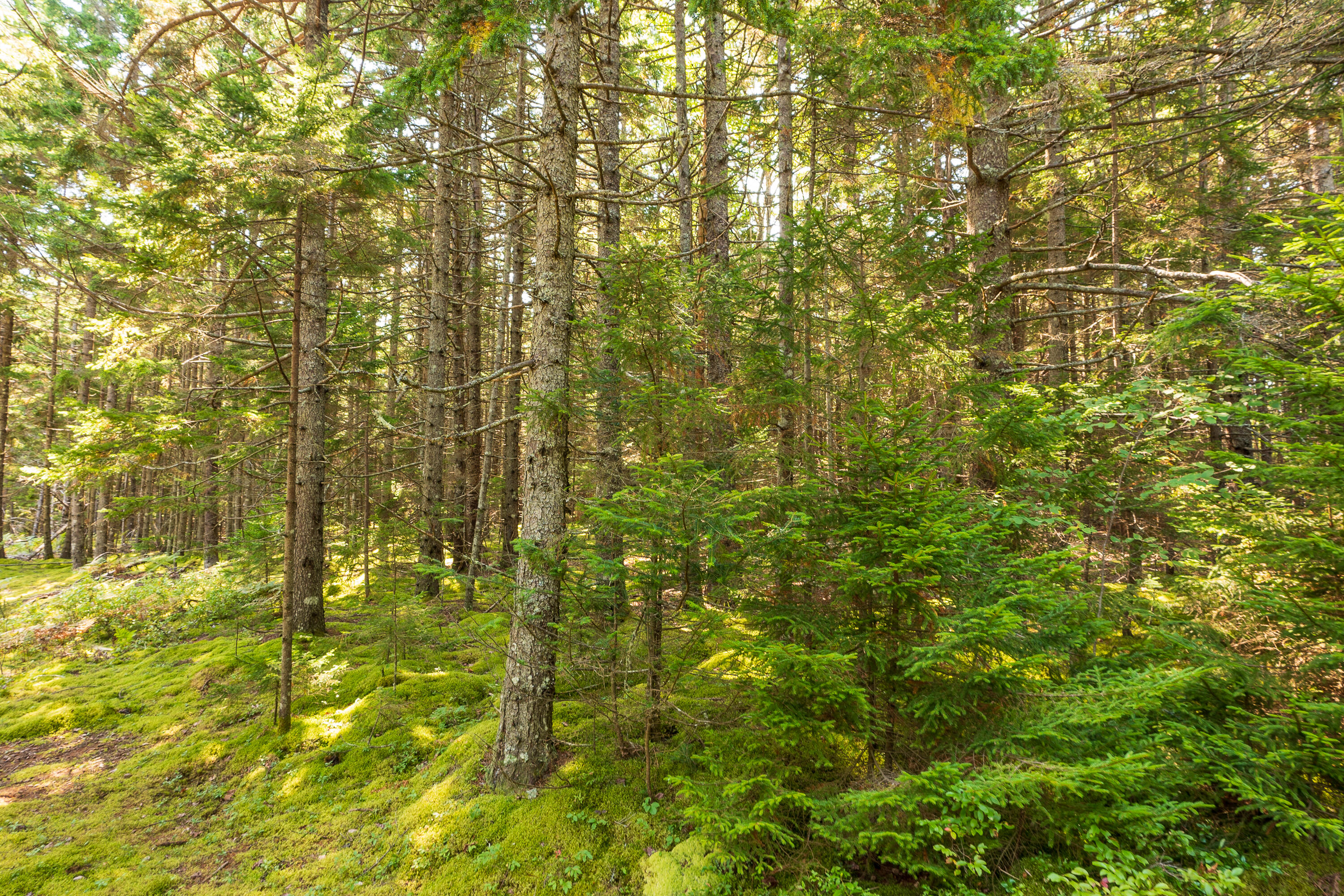 Lot 11 Nahanada Road Bristol ME 04539