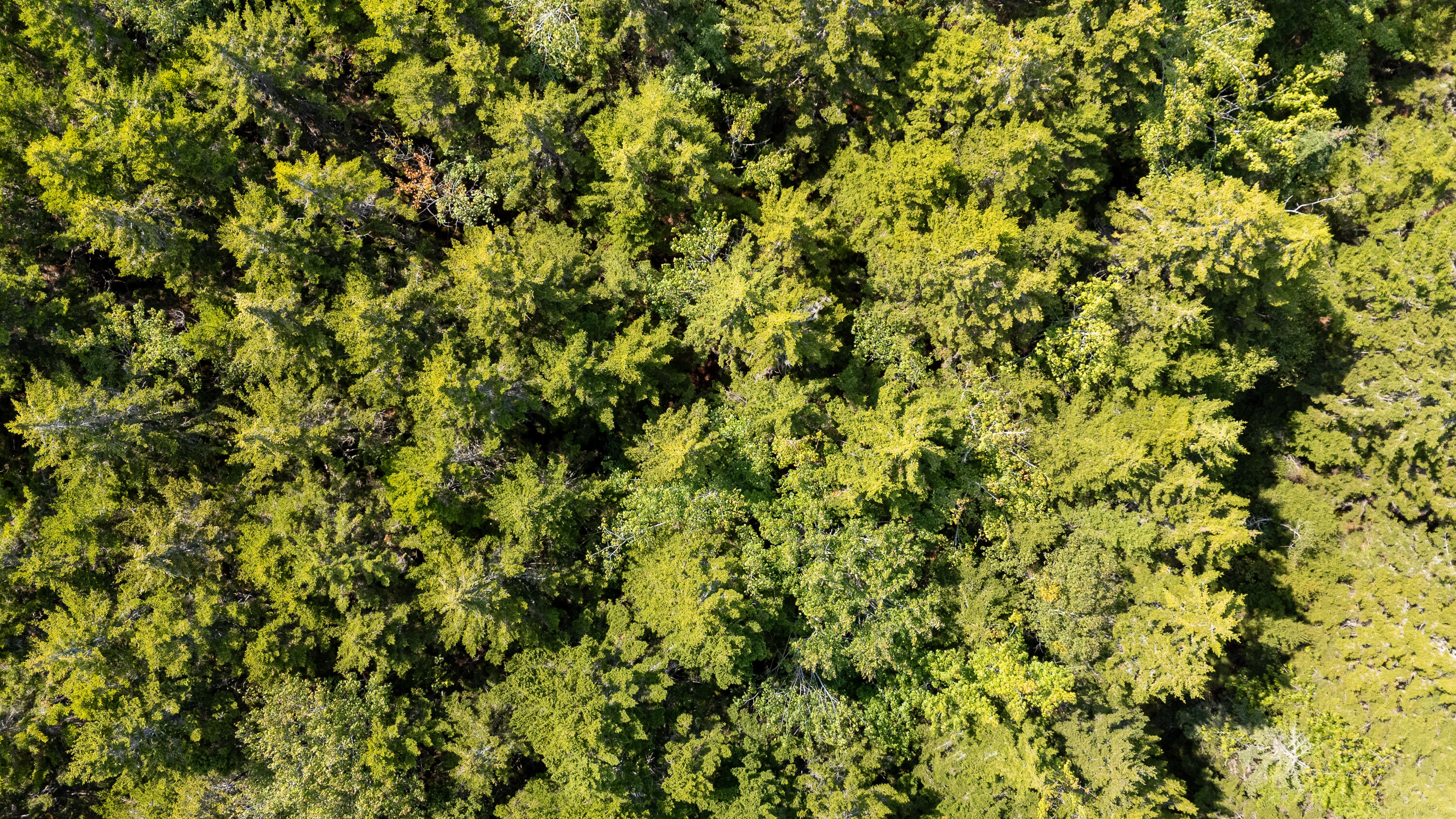 Lot 11 Nahanada Road Bristol ME 04539