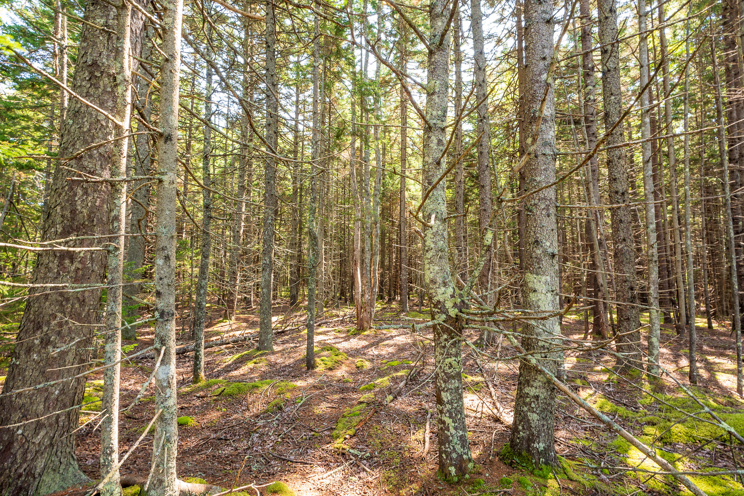 Lot 11 Nahanada Road Bristol ME 04539