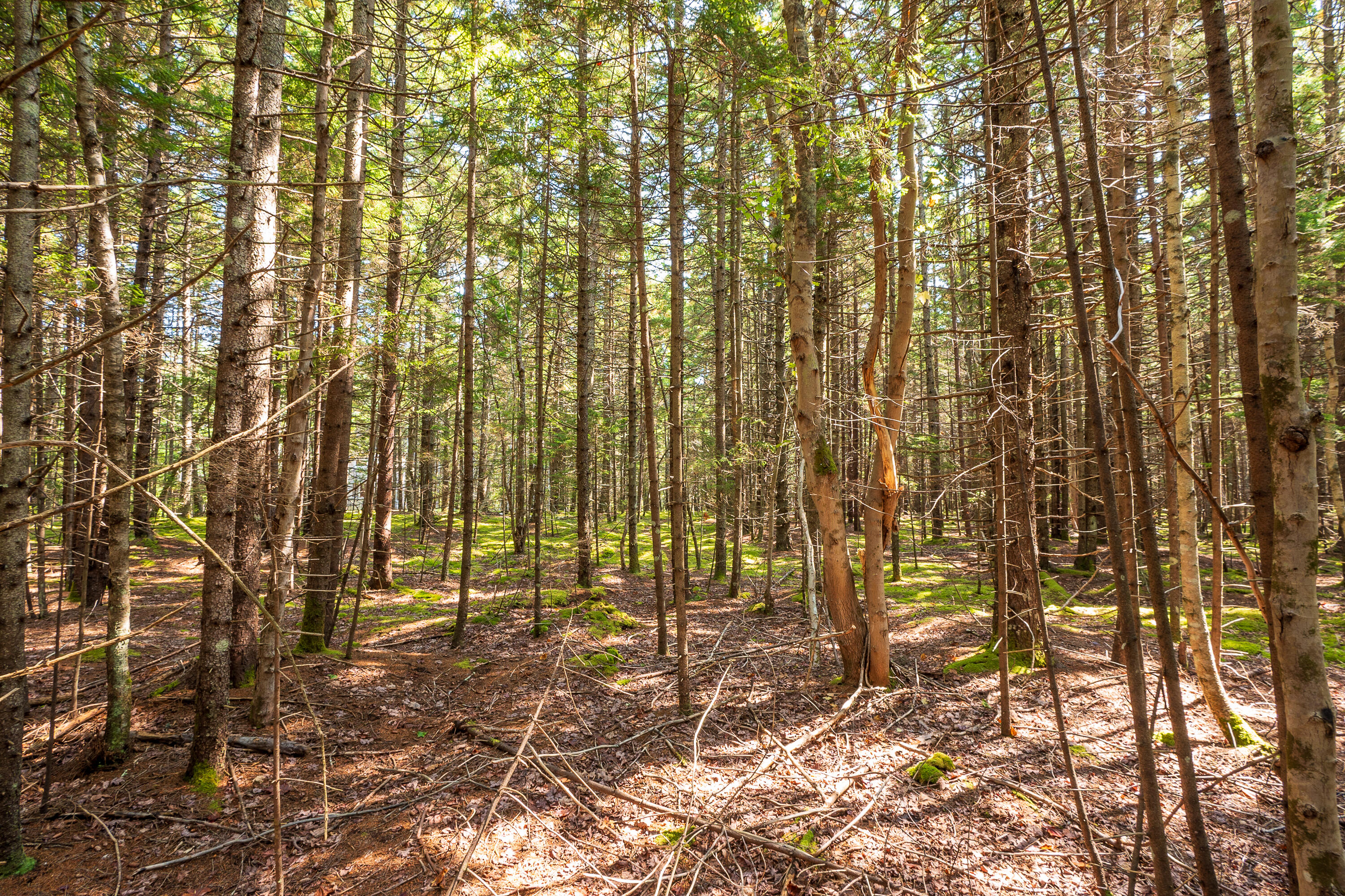 Lot 11 Nahanada Road Bristol ME 04539