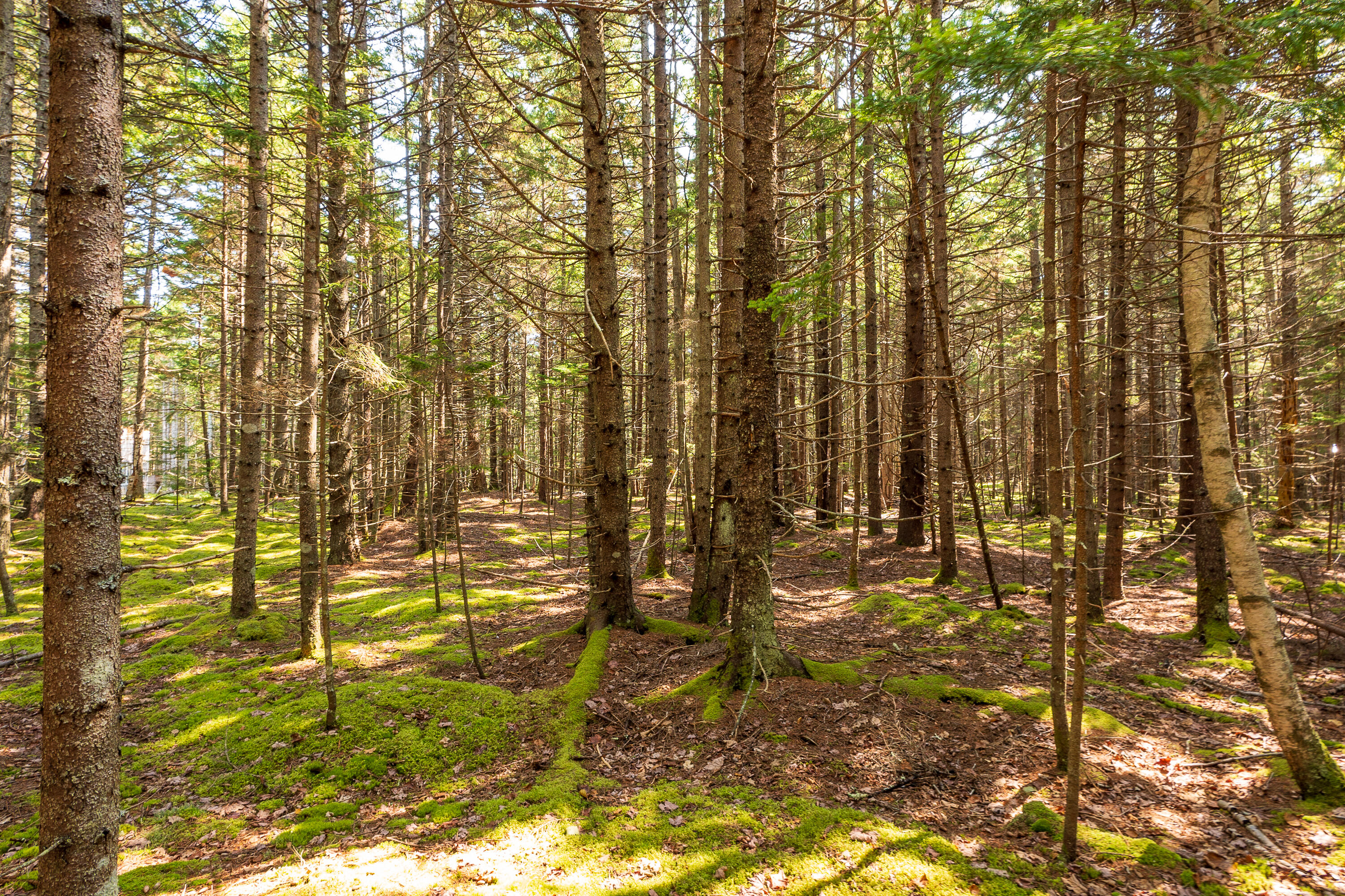 Lot 11 Nahanada Road Bristol ME 04539