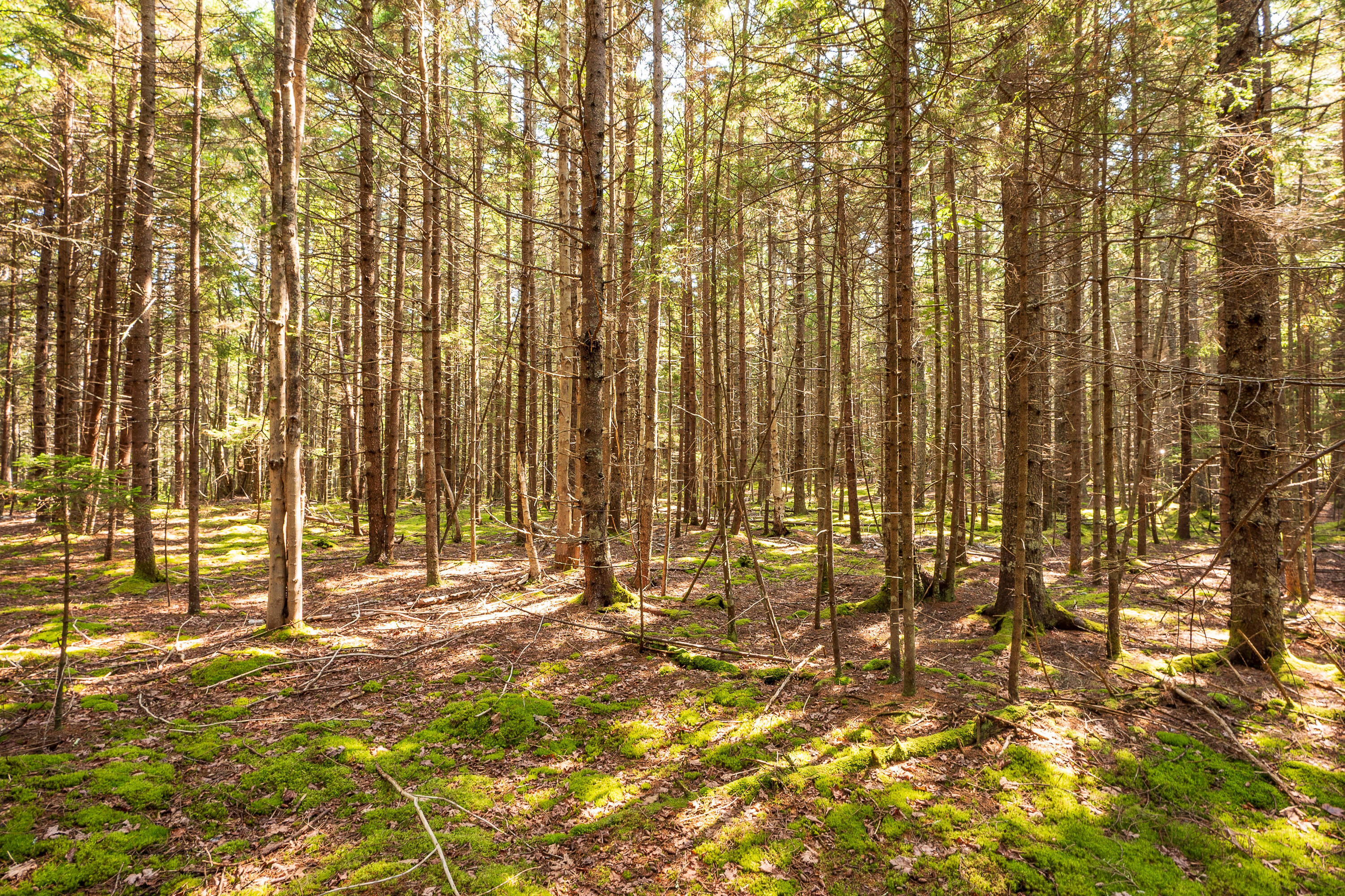 Lot 11 Nahanada Road Bristol ME 04539