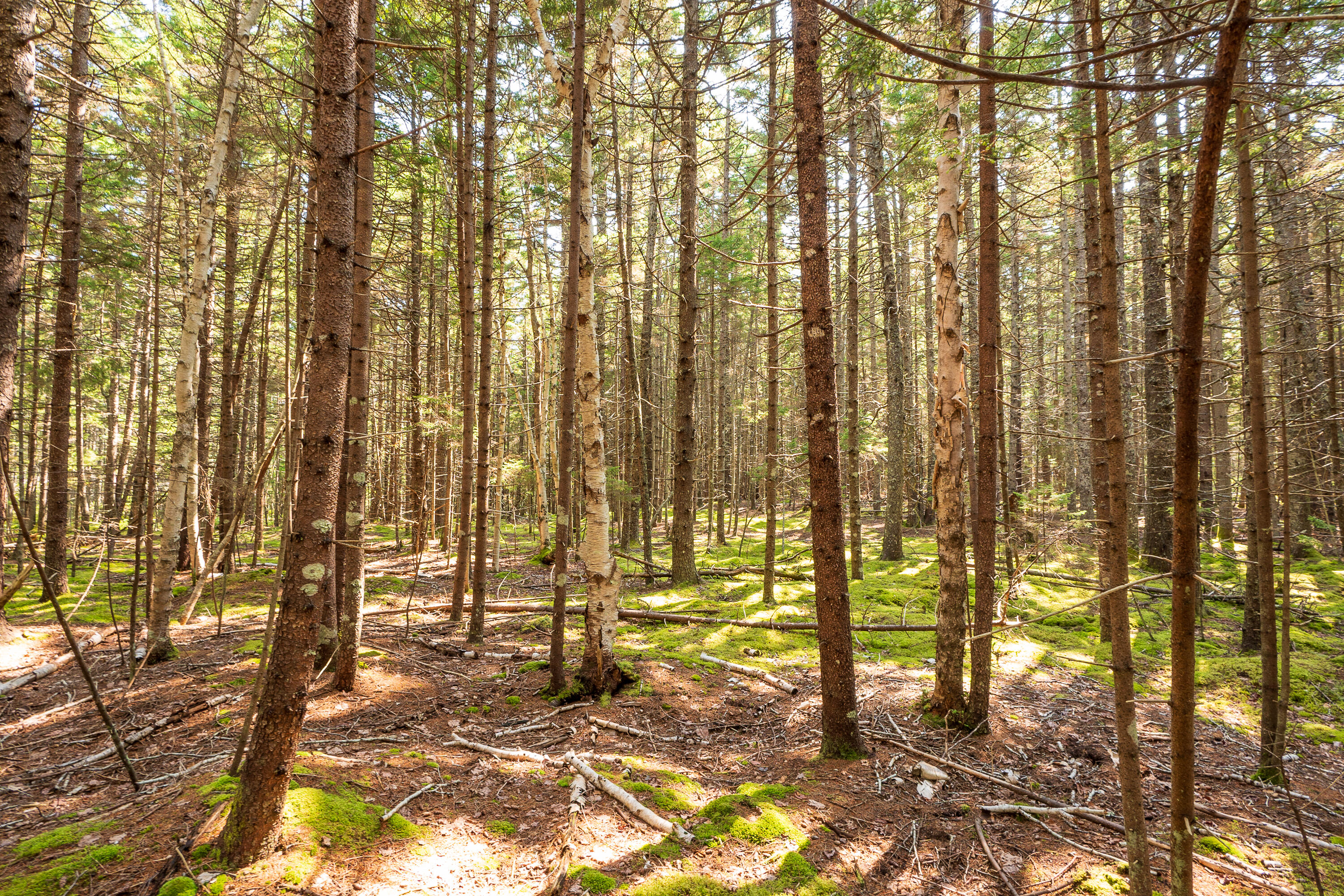 Lot 11 Nahanada Road Bristol ME 04539