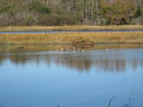 P/o 120 Wescogus Road Addison ME 04606