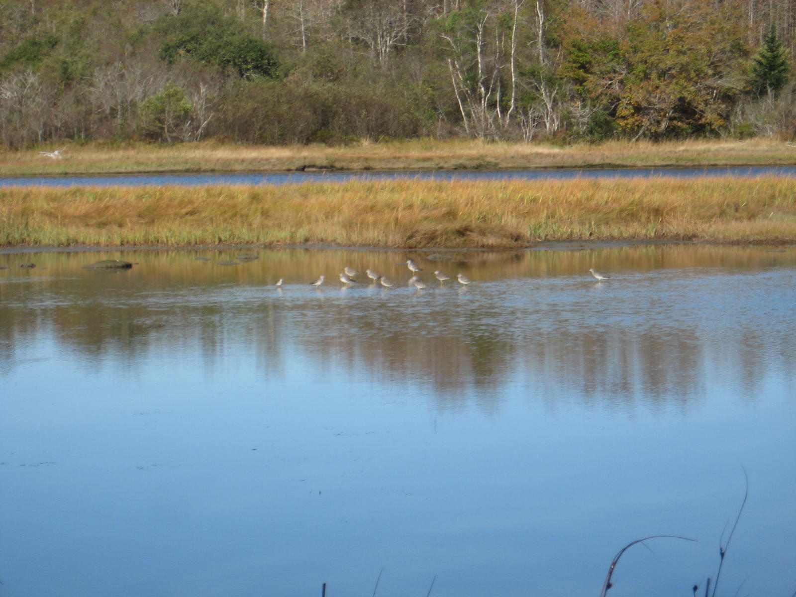 P/o 120 Wescogus Road Addison ME 04606