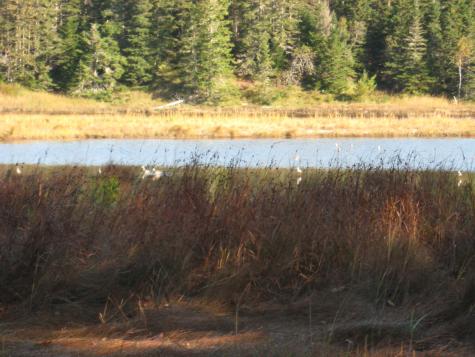 P/o 120 Wescogus Road Addison ME 04606