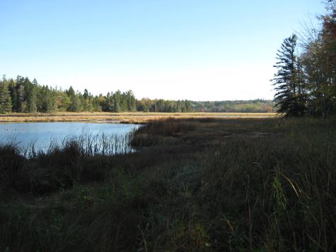 P/o 120 Wescogus Road Addison ME 04606