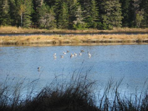 P/o 120 Wescogus Road Addison ME 04606