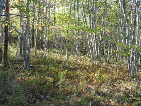 P/o 120 Wescogus Road Addison ME 04606