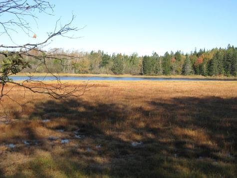 P/o 120 Wescogus Road Addison ME 04606