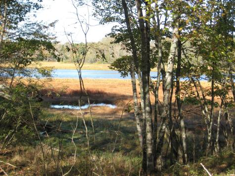 P/o 120 Wescogus Road Addison ME 04606