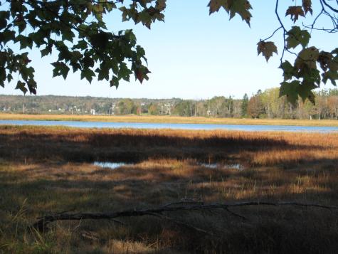 P/o 120 Wescogus Road Addison ME 04606