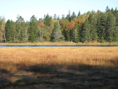 P/o 120 Wescogus Road Addison ME 04606