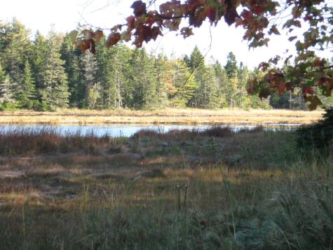 P/o 120 Wescogus Road Addison ME 04606