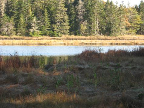 P/o 120 Wescogus Road Addison ME 04606