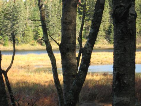 P/o 120 Wescogus Road Addison ME 04606