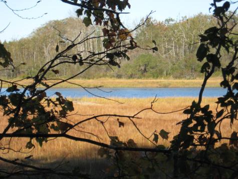 P/o 120 Wescogus Road Addison ME 04606