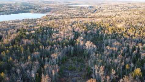 Lot 20 Moose Ridge Road Dallas Plt ME 04970