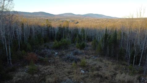 Lot 20 Moose Ridge Road Dallas Plt ME 04970