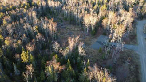 Lot 20 Moose Ridge Road Dallas Plt ME 04970