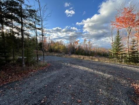 Lot 20 Moose Ridge Road Dallas Plt ME 04970