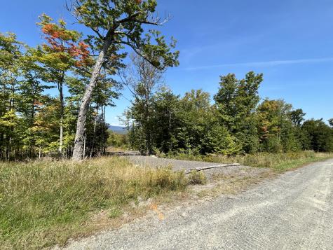 Lot 20 Moose Ridge Road Dallas Plt ME 04970