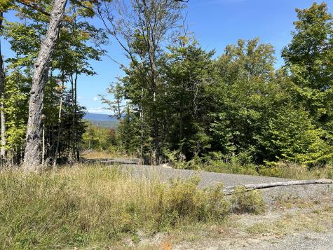 Lot 20 Moose Ridge Road Dallas Plt ME 04970