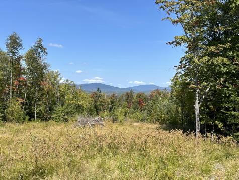 Lot 20 Moose Ridge Road Dallas Plt ME 04970