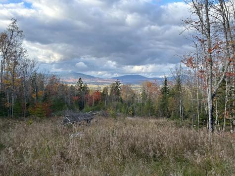 Lot 20 Moose Ridge Road Dallas Plt ME 04970