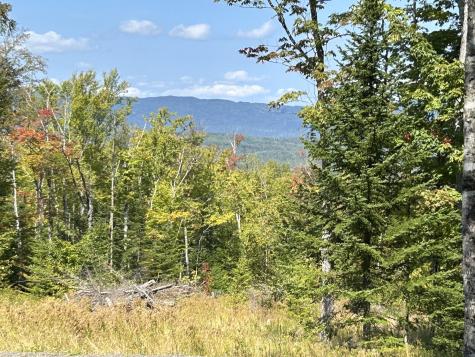 Lot 20 Moose Ridge Road Dallas Plt ME 04970