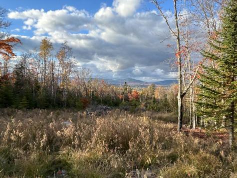 Lot 20 Moose Ridge Road Dallas Plt ME 04970