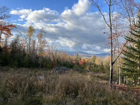 Lot 20 Moose Ridge Road Dallas Plt ME 04970