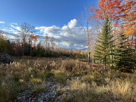 Lot 20 Moose Ridge Road Dallas Plt ME 04970