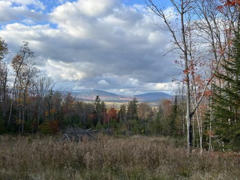 Lot 20 Moose Ridge Road Dallas Plt ME 04970