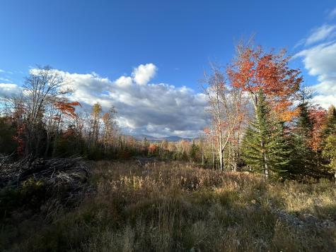 Lot 20 Moose Ridge Road Dallas Plt ME 04970