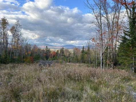 Lot 20 Moose Ridge Road Dallas Plt ME 04970