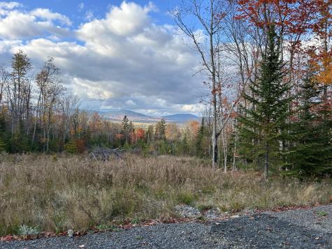 Lot 20 Moose Ridge Road Dallas Plt ME 04970