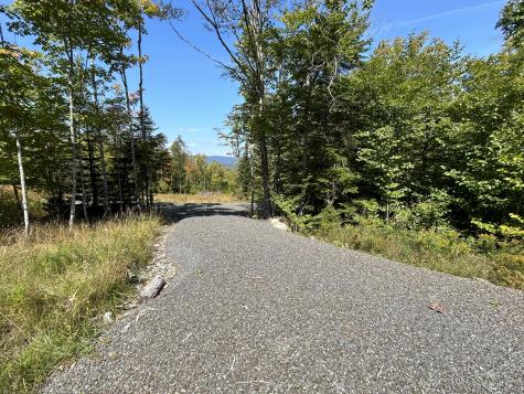 Lot 20 Moose Ridge Road Dallas Plt ME 04970