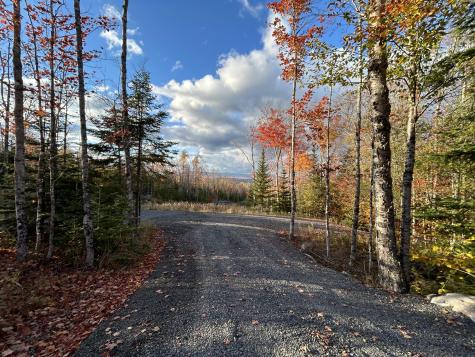 Lot 20 Moose Ridge Road Dallas Plt ME 04970