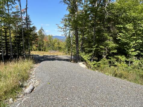 Lot 20 Moose Ridge Road Dallas Plt ME 04970