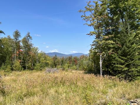 Lot 20 Moose Ridge Road Dallas Plt ME 04970