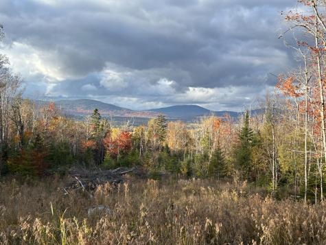 Lot 20 Moose Ridge Road Dallas Plt ME 04970