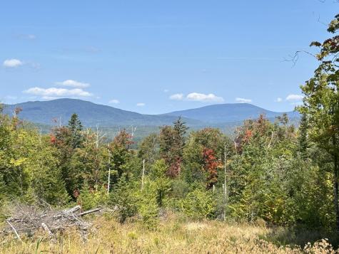 Lot 20 Moose Ridge Road Dallas Plt ME 04970