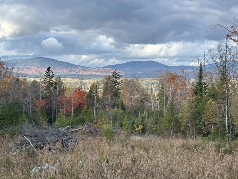 Lot 20 Moose Ridge Road Dallas Plt ME 04970