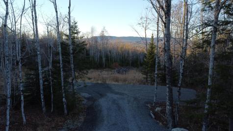 Lot 20 Moose Ridge Road Dallas Plt ME 04970