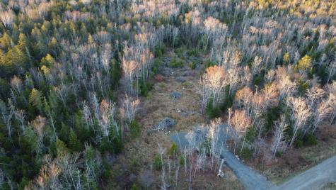 Lot 20 Moose Ridge Road Dallas Plt ME 04970