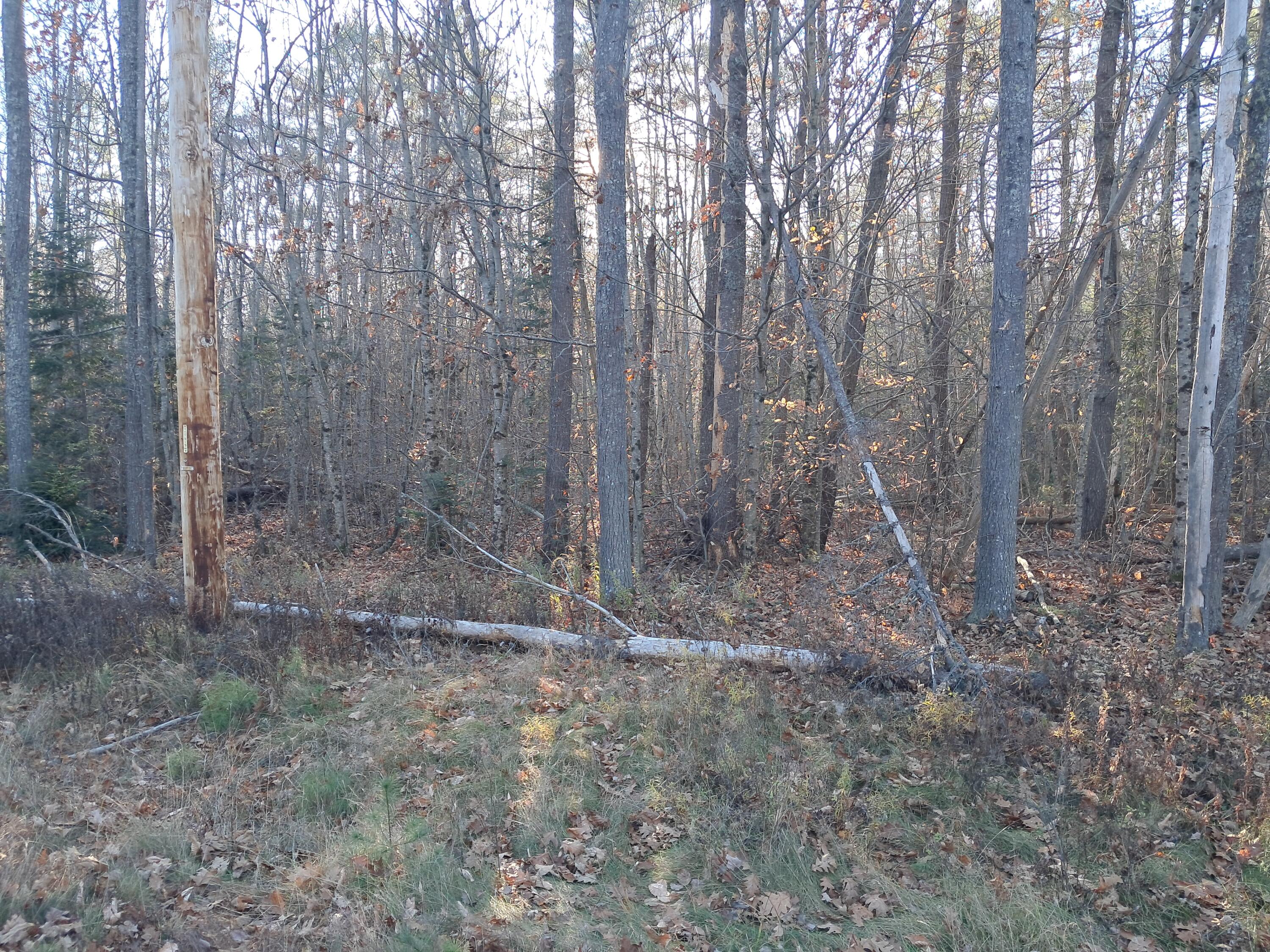 00 Route 2 Road Passadumkeag ME 04475