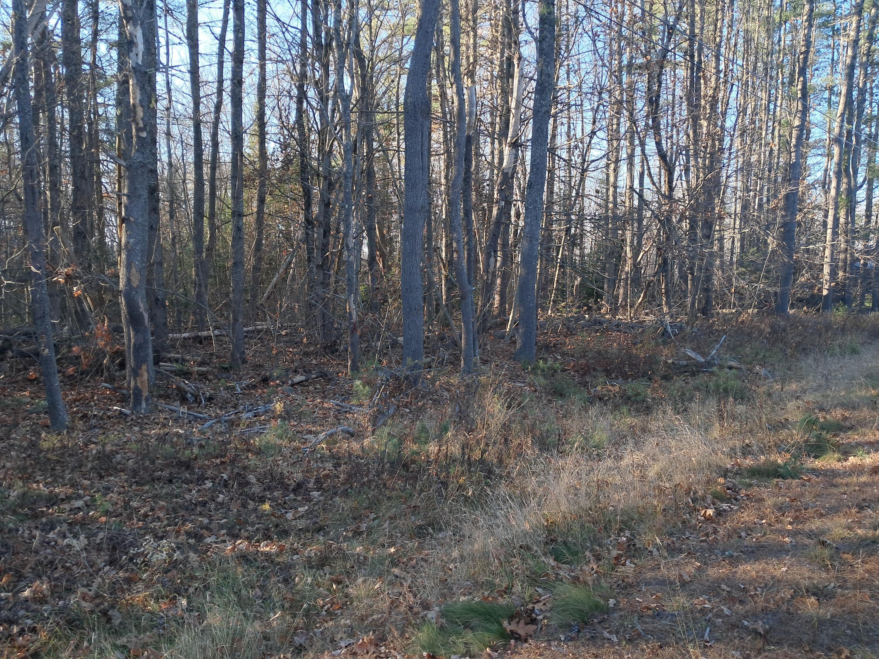 00 Route 2 Road Passadumkeag ME 04475