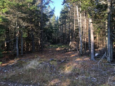 0 Shore Road Perry ME 04667